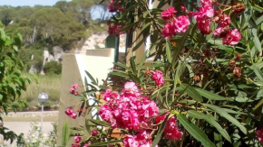 Cala Galdana Beach
